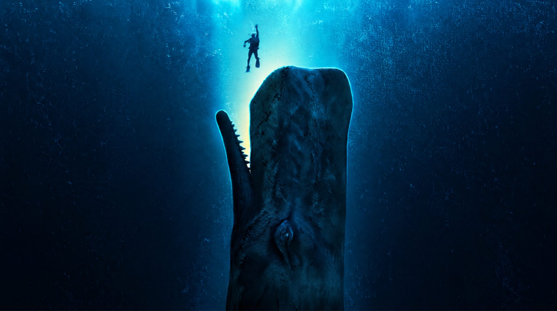 Η ΠΤΩΣΗ ΤΗΣ ΦΑΛΑΙΝΑΣ (WHALEFALL)